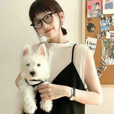 锦上添花