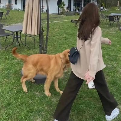 狂野目标